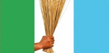 APC recruits 4.4 million agents nationwide for 2027 Tinubu re-election (World)