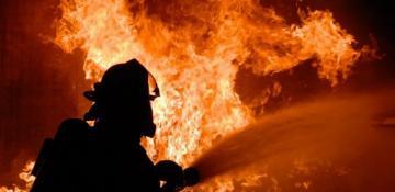 Fire incident occurs at Almaty Zoo -  VIDEO  (World)