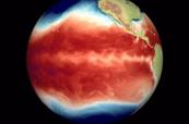 Forecasts from Copernicus suggest strong El Niño this summer