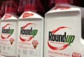 Bayer says no plans to restructure despite litigation threat 