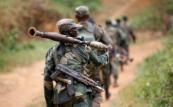 IS-linked fighters kill 16 in Congo’s Ebola zone