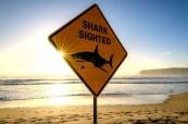 Man dies after shark attack off Western Australia coast