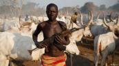 What is driving the rise of farmer herder violence across Chad?