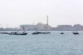 Iran plans five coastal nuclear power plants, official announces