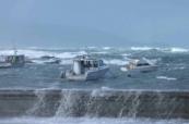 State of emergency declared as huge waves batter New Zealand capital -  VIDEO  