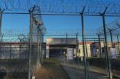 Georgian immigrant dies in ICE custody in Louisiana facility