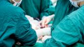 World first: Pig liver, kidneys transplanted into human in China