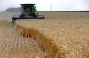 US farms squeezed by higher fuel costs amid Iran war