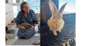 Dubai rabbit rescue community supports abandoned animals across UAE