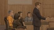 Why did the Minnesota lawmaker murder suspect plead guilty? 