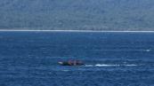At least 1 dead, 7 missing after speedboat sinks in Indonesia