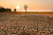 Thailand develops climate risk maps ahead of El Nino impact