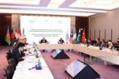 Baku Declaration set to be adopted by D-8 energy ministers