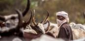 Massive property destruction as Chad land dispute turns deadly