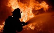 Fire incident occurs at Almaty Zoo -  VIDEO 