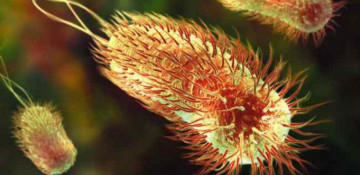 Autism symptoms improve after fecal transplant, small study finds