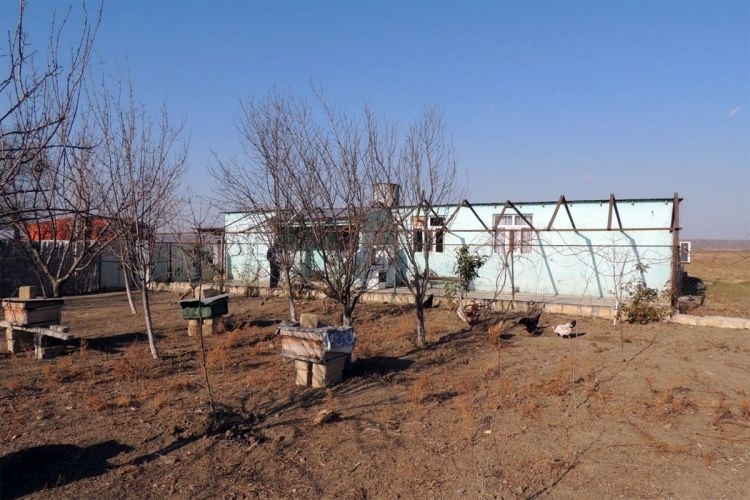 Experts praise Azerbaijani president’s order on restoration of liberated village