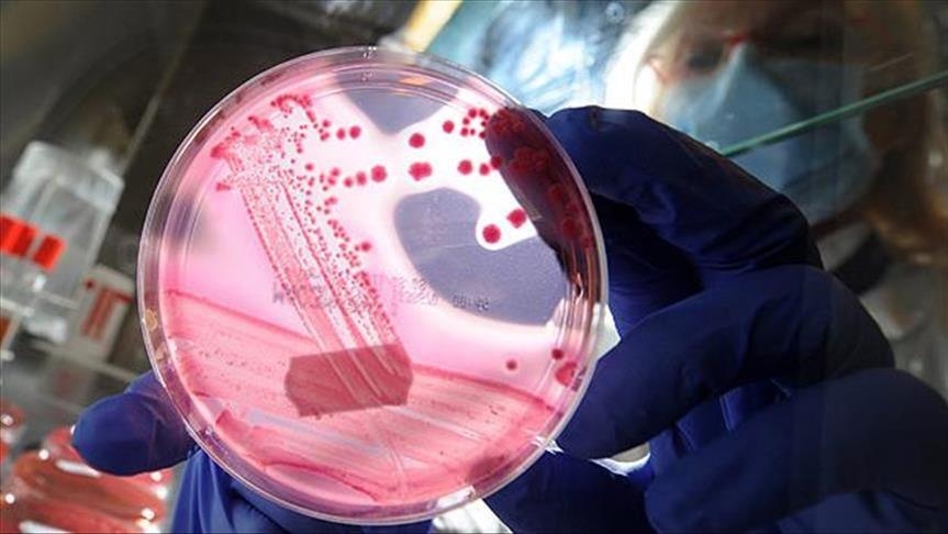 WHO: 'One in six deaths in 2015 from cancer globally'