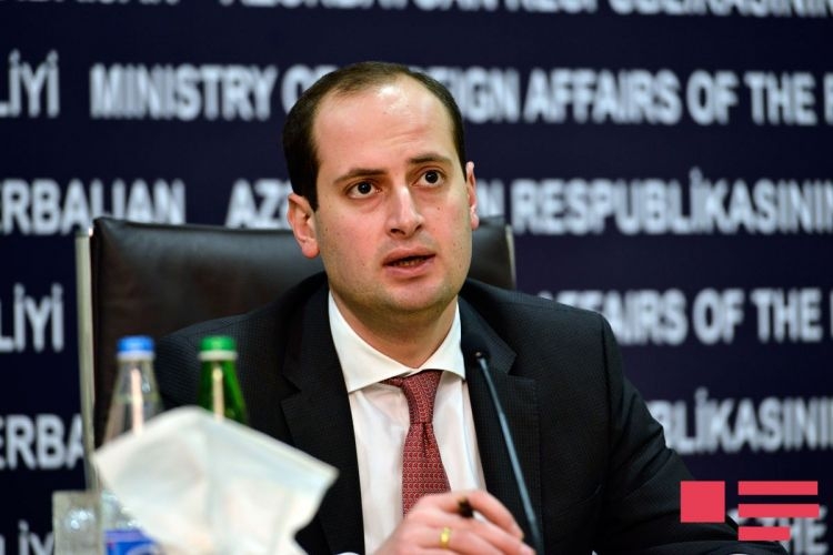 Georgian FM to visit Azerbaijan
