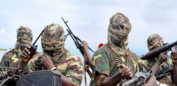 Boko Haram kills seven Nigerian soldiers in ambush