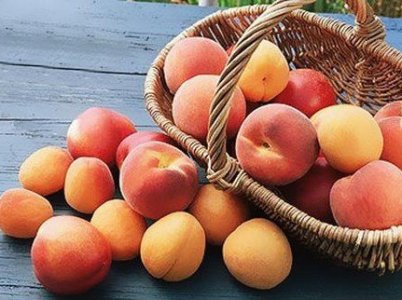 Local fruits get expensive in Armenia over a year