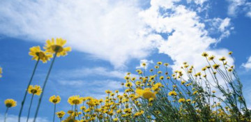 Temperature to reach 18 C in Azerbaijan tomorrow