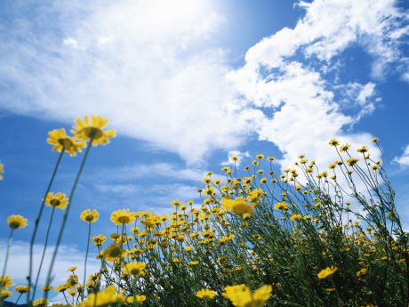 Temperature to reach 18 C in Azerbaijan tomorrow