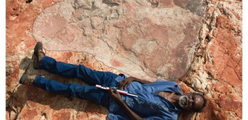 World's biggest dinosaur footprint found in 'Australia's Jurassic Park'