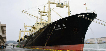 Japan kills 333 whales during gov't-backed expedition