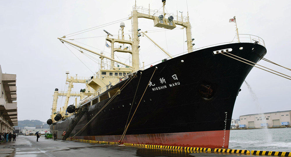 Japan kills 333 whales during gov't-backed expedition