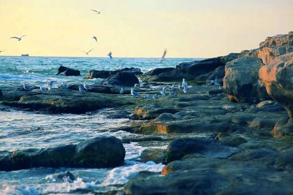 Azerbaijan, Russia hold consultations on Caspian status