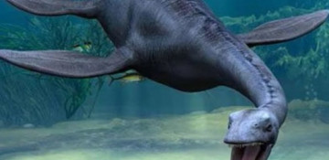 US hunter finds remains of giant reptile living on earth 70 mln years ago