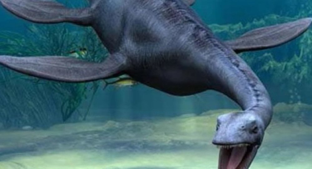 US hunter finds remains of giant reptile living on earth 70 mln years ago