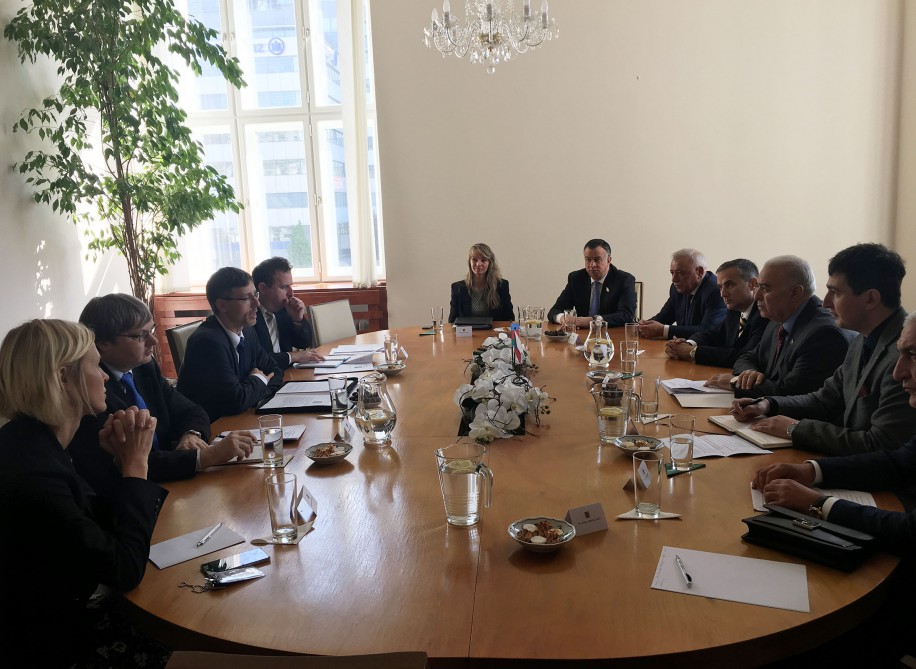 Azerbaijan, Czech Republic discuss ways of developing cooperation