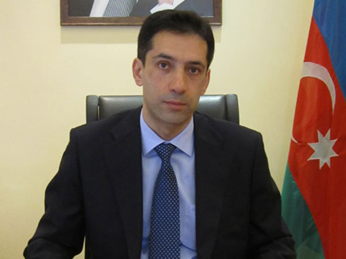 TAP important on geo-political level: Azerbaijani envoy