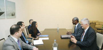 Leyla Aliyeva meets Deputy Executive Director for UN Environment Programme