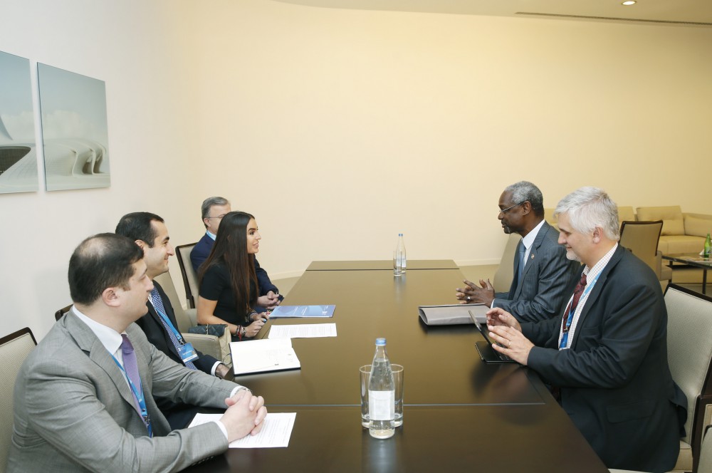 Leyla Aliyeva meets Deputy Executive Director for UN Environment Programme