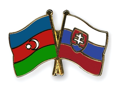 Baku, Bratislava explore ways of expanding relations