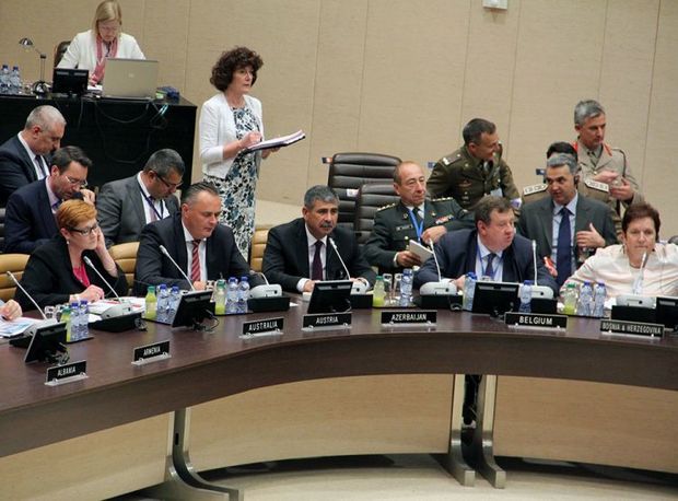 Azerbaijan's defense minister attends NATO meeting - PHOTOS