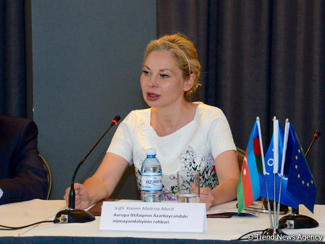 Mard: Not rapid, but good result crucial in EU-Azerbaijan talks