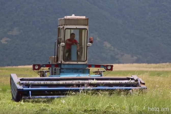 Armenia: One in seven survive on bread and potatoes