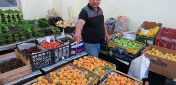 Exporter close to Armenian president's son-in-law monopolizes country's apricot market