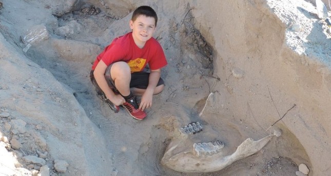 9-year-old boy missteps to discover million-year-old fossil
