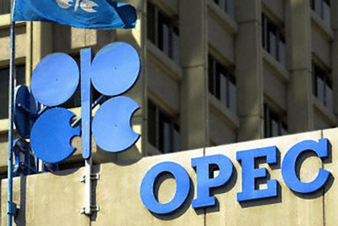 OPEC, non-OPEC states to discuss oil cut deal in UAE