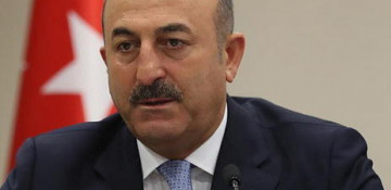 FM: Turkey urges Muslim countries to recognize Palestine's independence