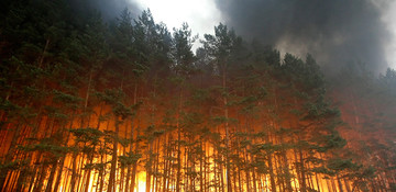 Forest fire breaks out at four different spots in Turkey