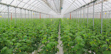 Azerbaijan, Hungary to implement major joint agricultural project