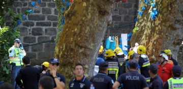 Tree falls in Portugal's Madeira Island, killing 12