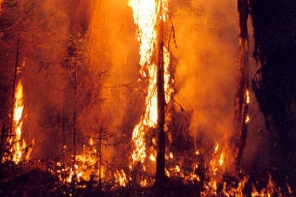 Fire erupts at Shahdag National Park