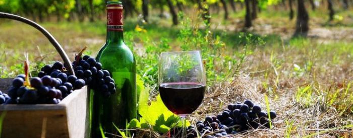 Another provocation from Armenians: wine festival in Karabakh